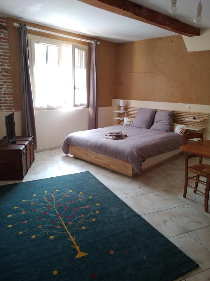 Au Coeur De Montastruc-La-Conseillere - Chambres D'Hotes Kültér fotó